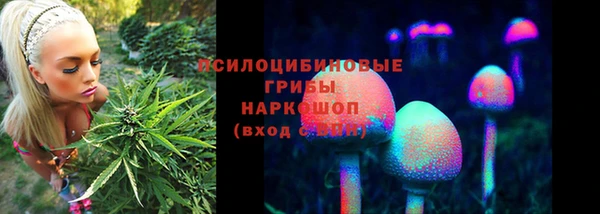 PSILOCYBIN Киреевск