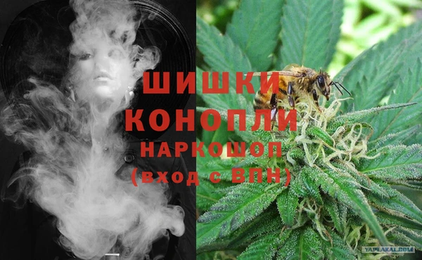 PSILOCYBIN Киреевск